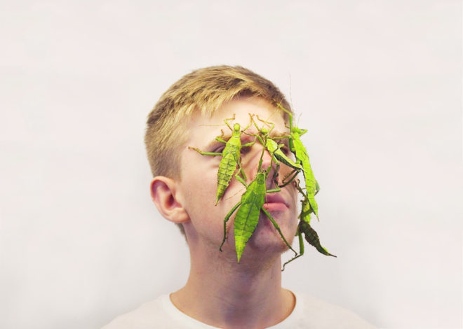 This Kid Won Instagram By Putting Bugs on His Face
